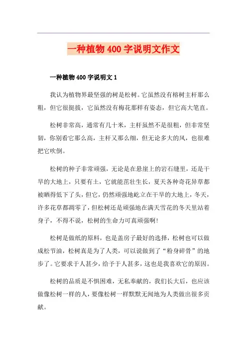 一种植物400字说明文作文