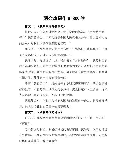 两会热词作文800字