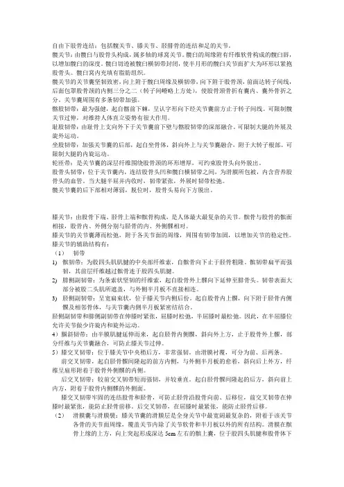 运动解剖—骨连结—自由下肢骨的连结