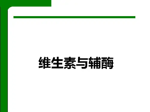 维生素与辅酶PPT精品医学课件