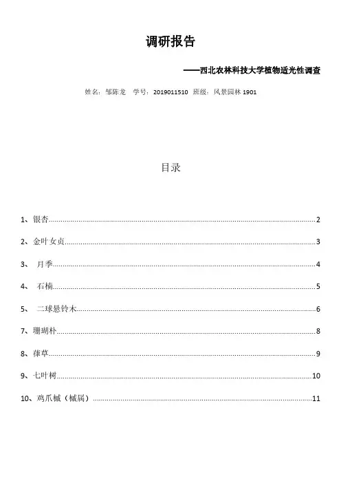 西北农林科技大学校内植物适光类型调查作业