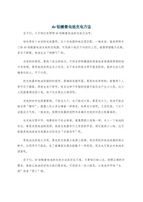 4v铅酸蓄电池充电方法