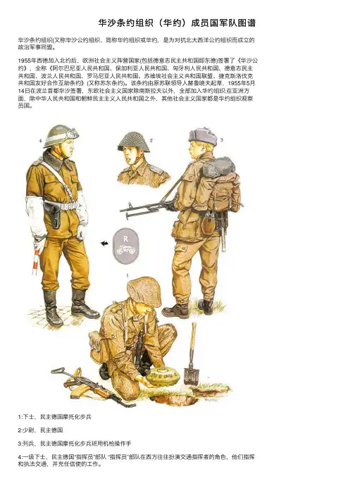 华沙条约组织（华约）成员国军队图谱
