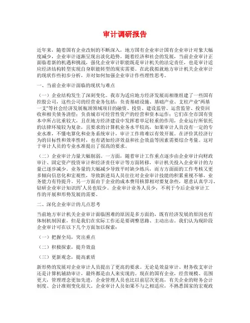 审计调研报告范文