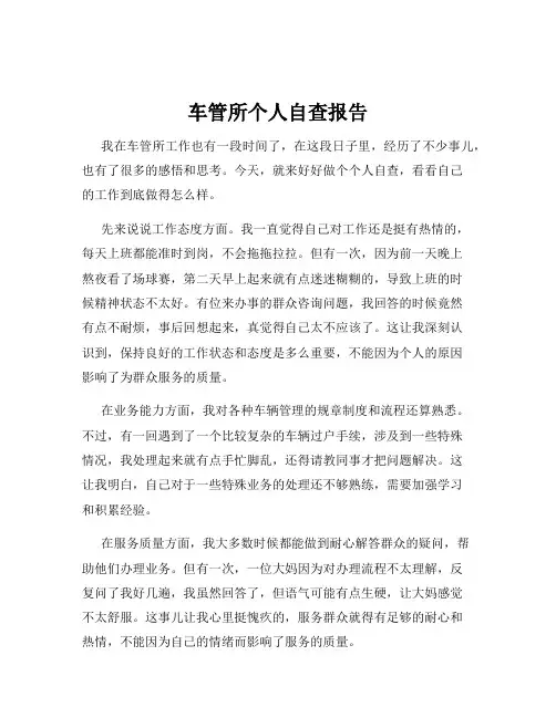 车管所个人自查报告
