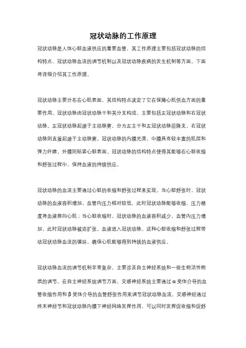 冠状动脉的工作原理