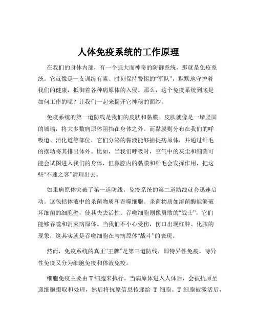 人体免疫系统的工作原理