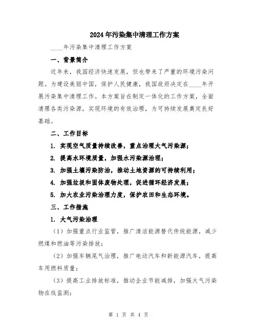 2024年污染集中清理工作方案