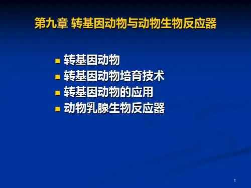 转基因动物与动物生物反应器ppt课件