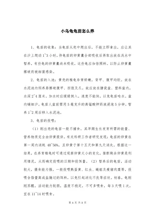 小乌龟龟苗怎么养