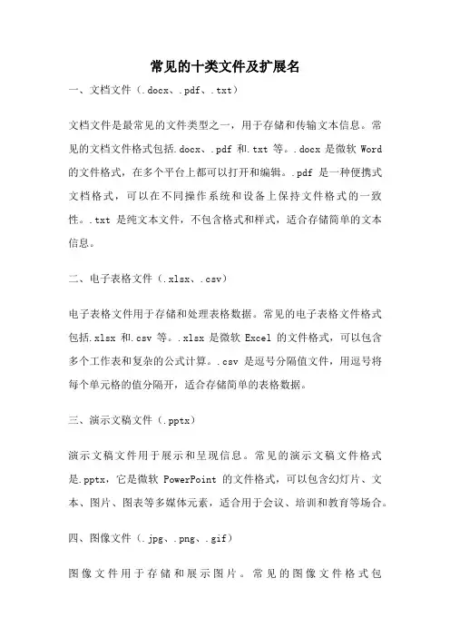 常见的十类文件及扩展名