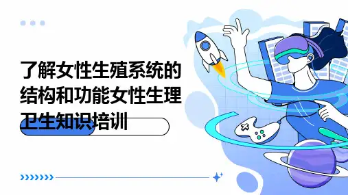 了解女性生殖系统的结构和功能女性生理卫生知识培训