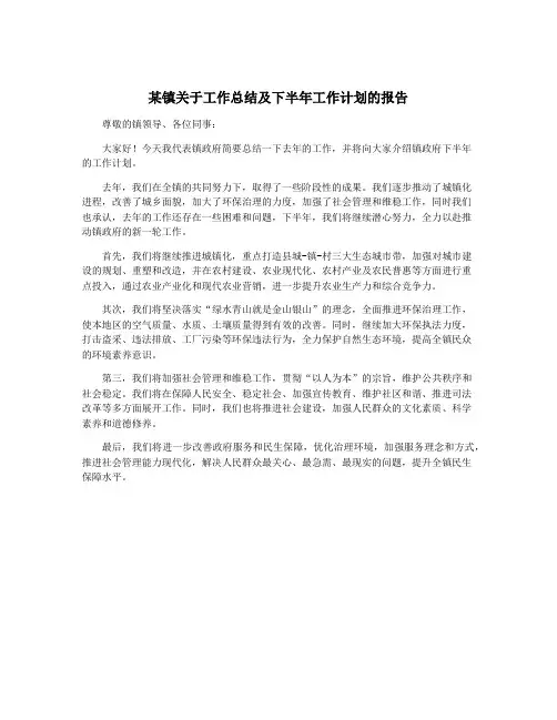 某镇关于工作总结及下半年工作计划的报告