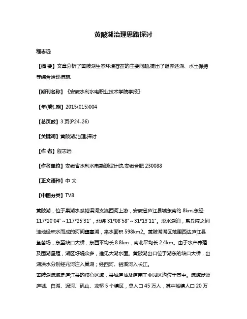 黄陂湖治理思路探讨