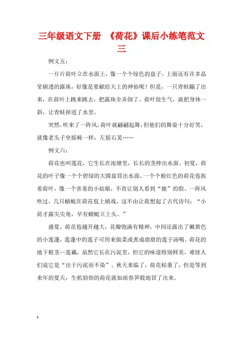 三年级语文下册 《荷花》课后小练笔范文三