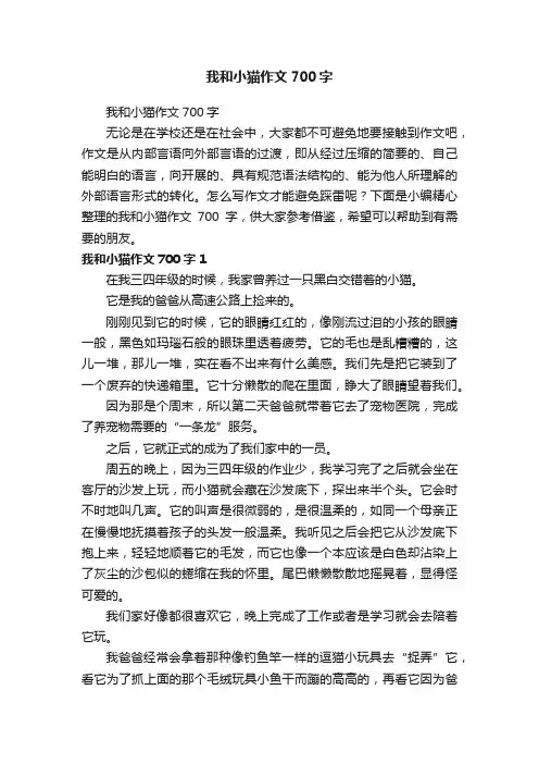 我和小猫作文700字