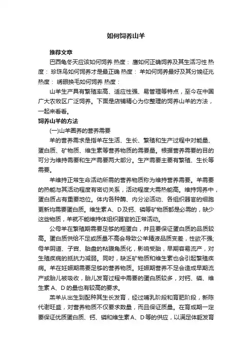 如何饲养山羊