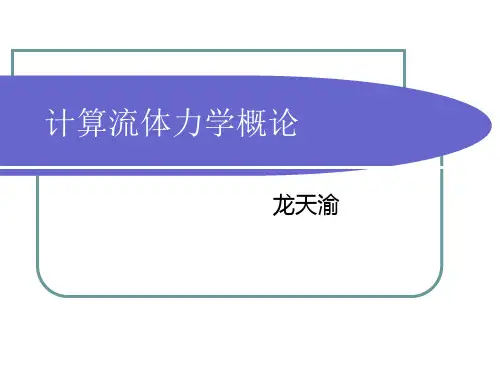 高等流体力学——计算部分