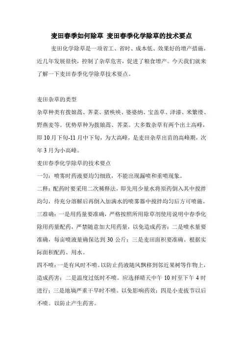 麦田春季如何除草 麦田春季化学除草的技术要点