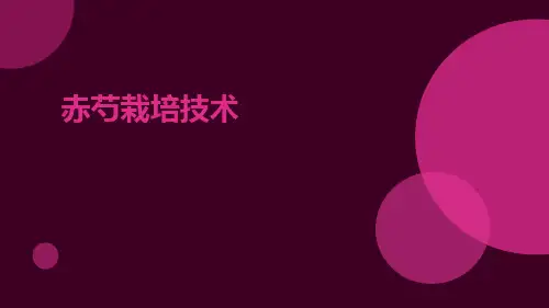赤芍栽培技术