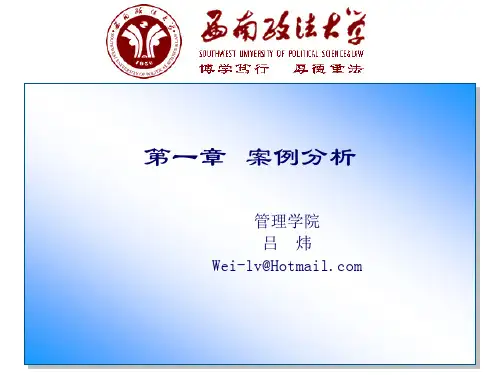 第一章 案例分析