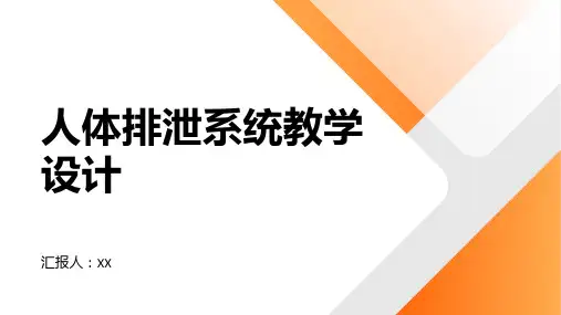 关于人体排泄系统的教学设计