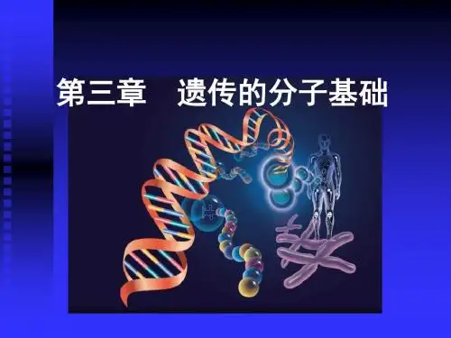 03遗传分子基础-PPT精品文档96页