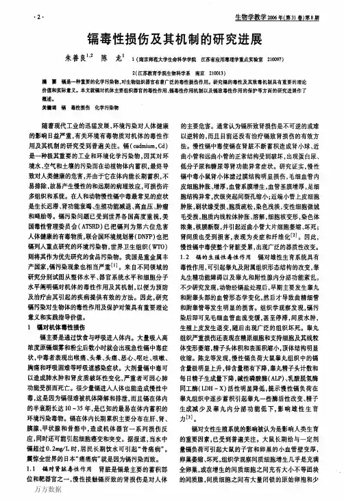 镉毒性损伤及机制的研究进展