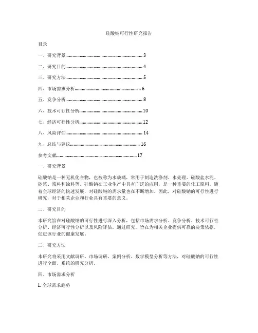 硅酸钠可行性研究报告