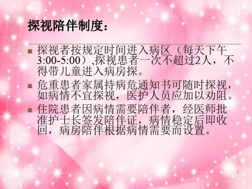 探视陪伴制度