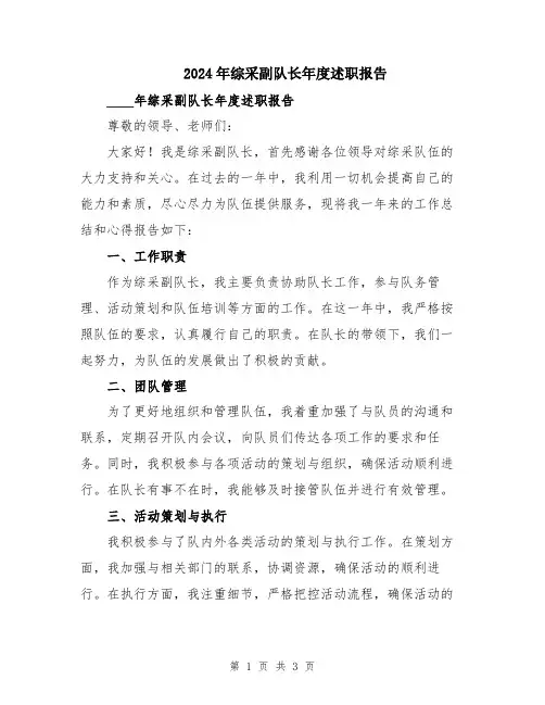 2024年综采副队长年度述职报告