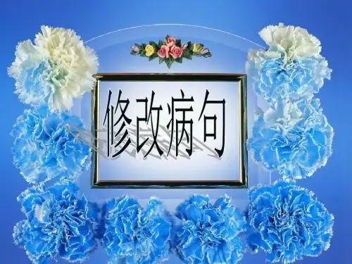 中考常见病句类型-PPT文档资料