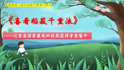 《喜看稻菽千重浪》课件31张统编版高中语文必修上册精选全文完整版