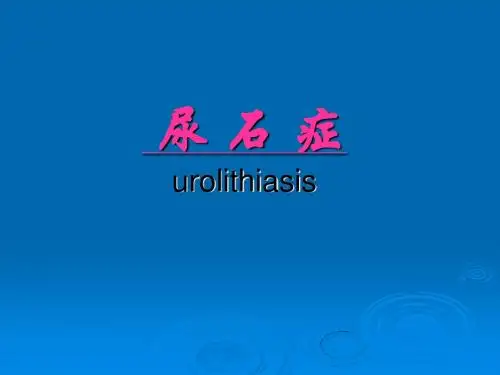 尿石症PPT课件