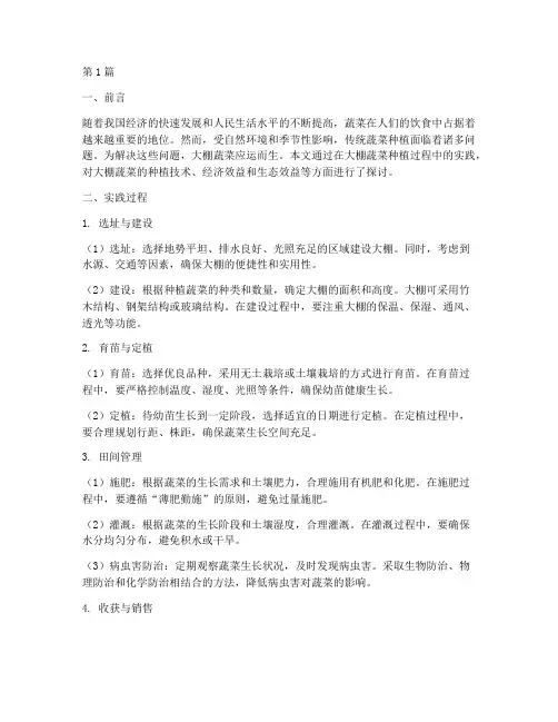 大棚蔬菜实践报告(2篇)