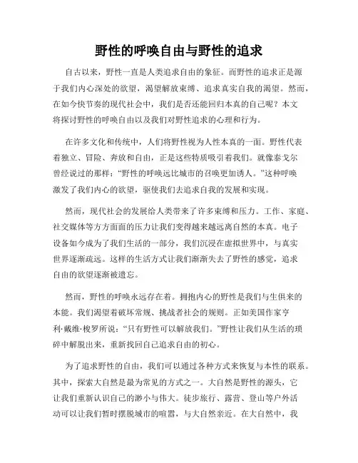 野性的呼唤自由与野性的追求