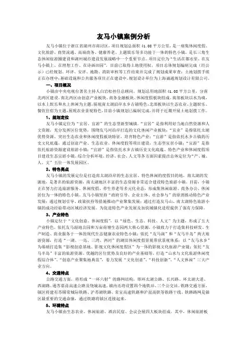 友马小镇案例分析