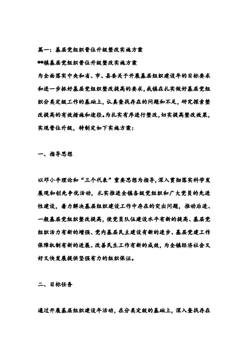 党组织分类定级工作晋位升级整改方案