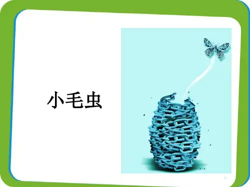 二年级下册语文课件-《小毛虫》 (16张PPT)人教部编版