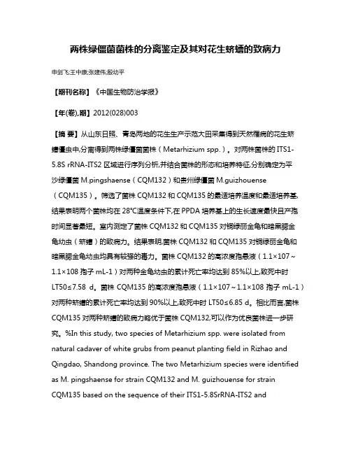 两株绿僵菌菌株的分离鉴定及其对花生蛴螬的致病力