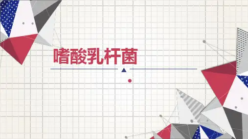 E1 嗜酸乳杆菌的培养、筛选分离和鉴别