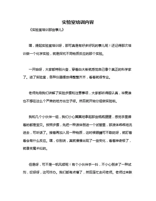 实验室培训内容