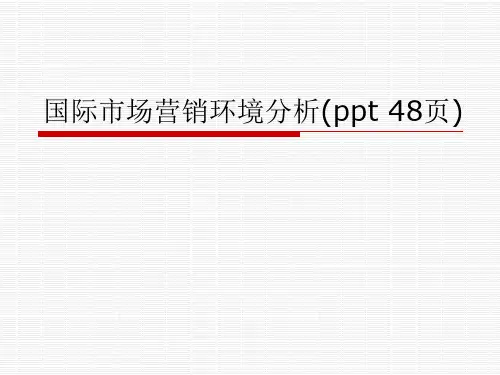 国际市场营销环境分析(ppt 48页)
