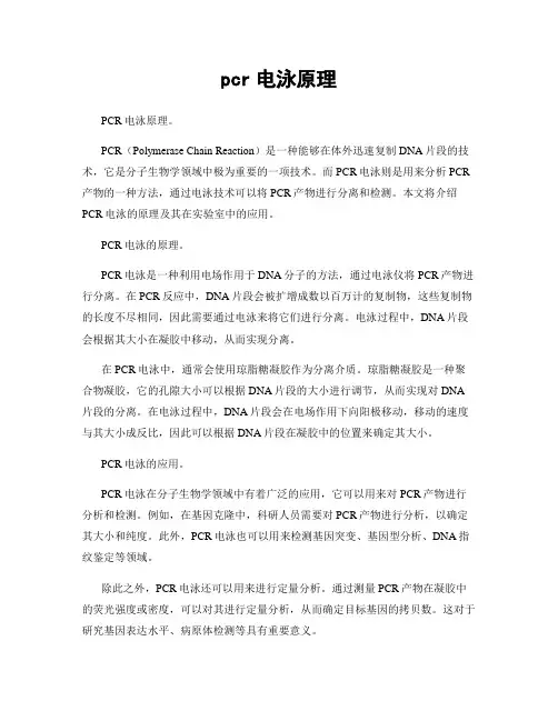 pcr电泳原理