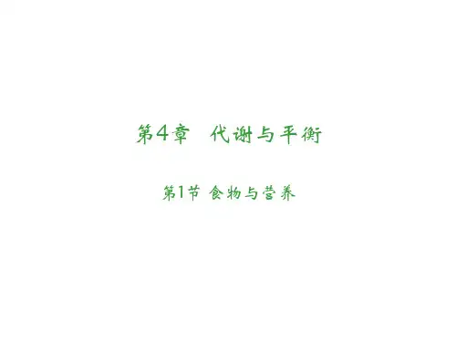 九年级上《食物与营养》PPT实用课件浙教版
