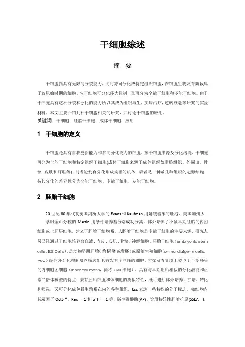 干细胞综述