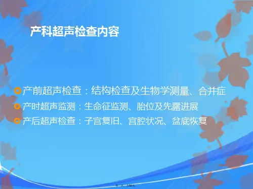 中晚孕超声检查140601