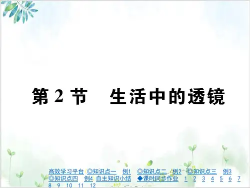 [人教版]《生活中的透镜》PPT课件1