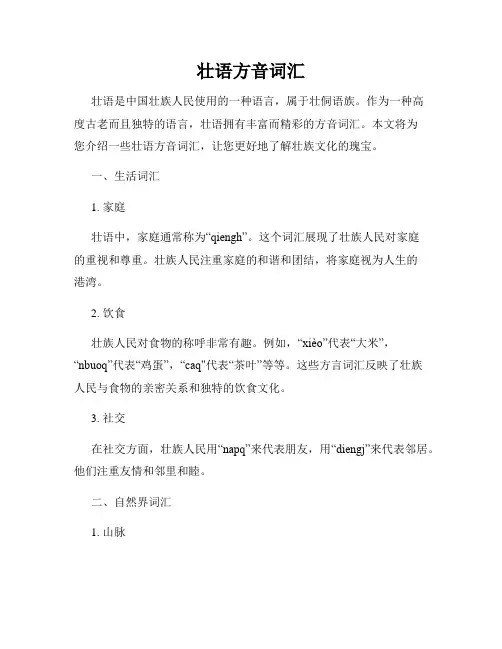 壮语方音词汇