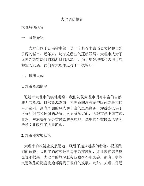 大理调研报告